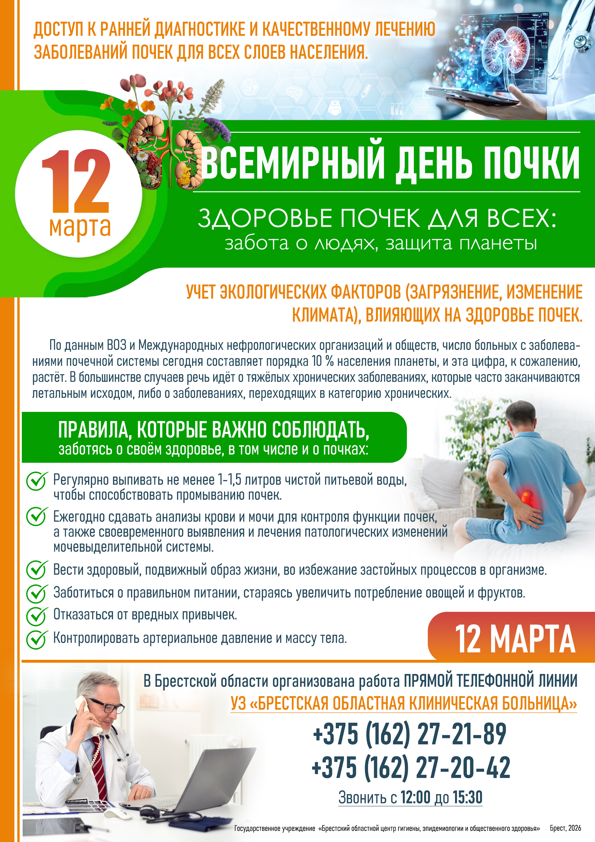 Важность почек для организма